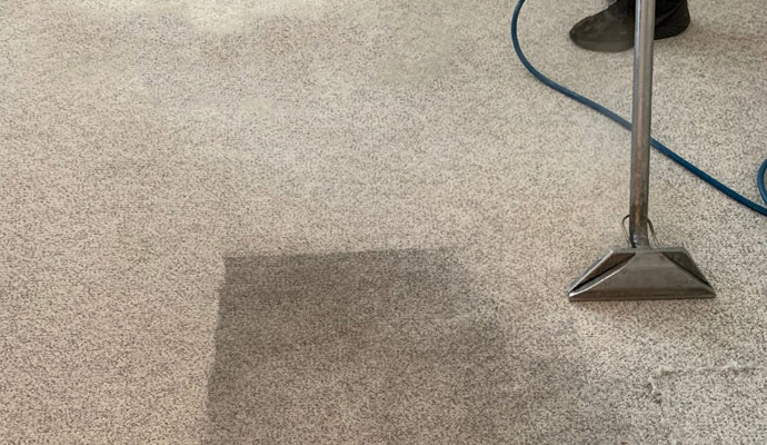Portable Extraction Carpet Cleaning