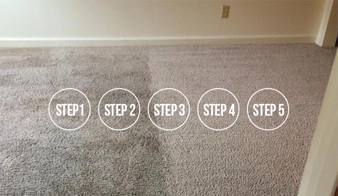 Carpet Cleaning For Mold and Mildew in Sarasota, FL