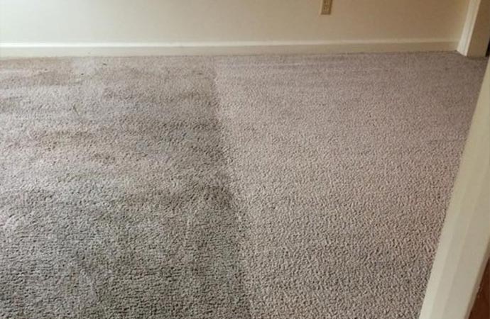 Mold and mildew presence in carpets.