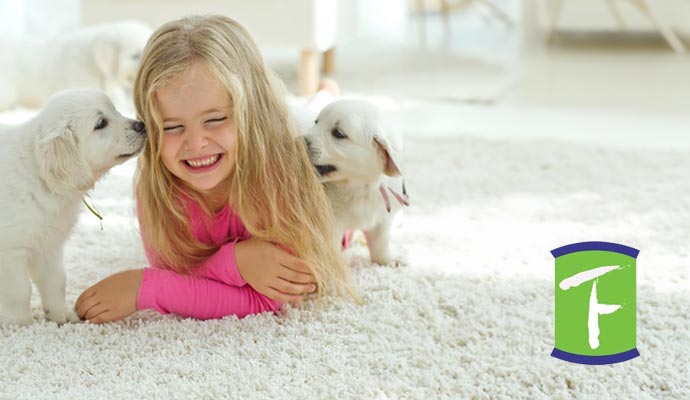 Child playing with pets