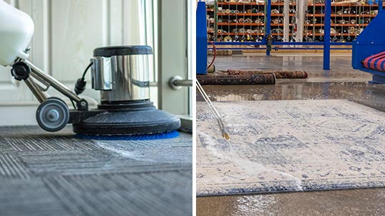professional carpet and rug cleaning service