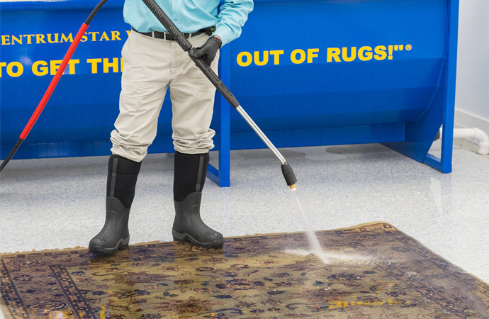 Professional Carpet and Rug Cleaning Services
