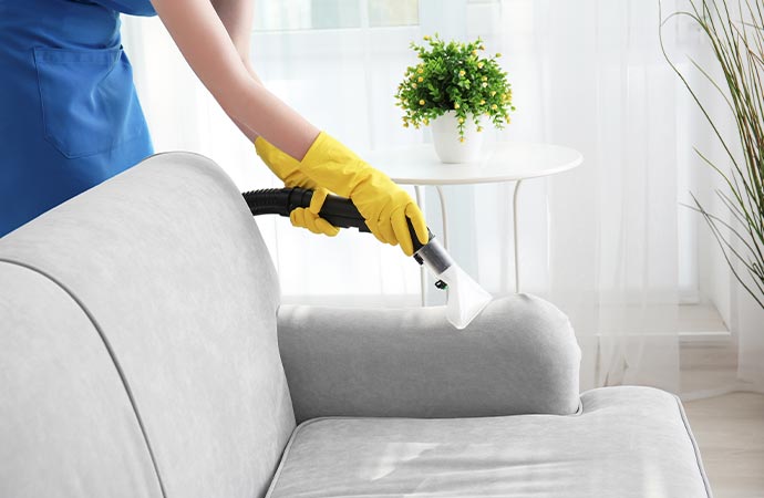 woman cleaning microfiber couch with vacuum cleaner